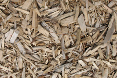 biomass boilers Trispen