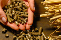 free Trispen biomass boiler quotes